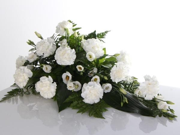 KUKKALAITE NEILIKOISTA, VALKOINEN